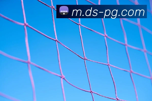 pg模拟器APP 高清赛事图